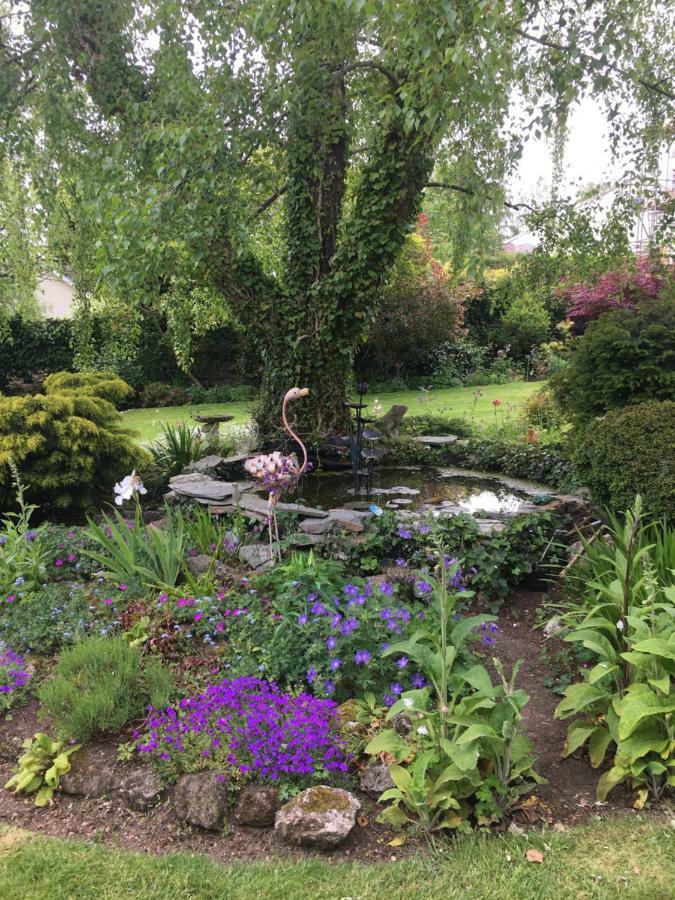 Cookshayes Country Guest House Moretonhampstead Eksteriør bilde